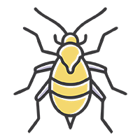 Уничтожение тли